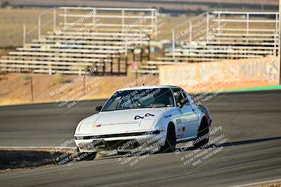 media/Feb-01-2025-Turn8 Trackdays (Sat) [[5681b0f63a]]/Inter 2/Session 1 (Turns 4b and 5)/